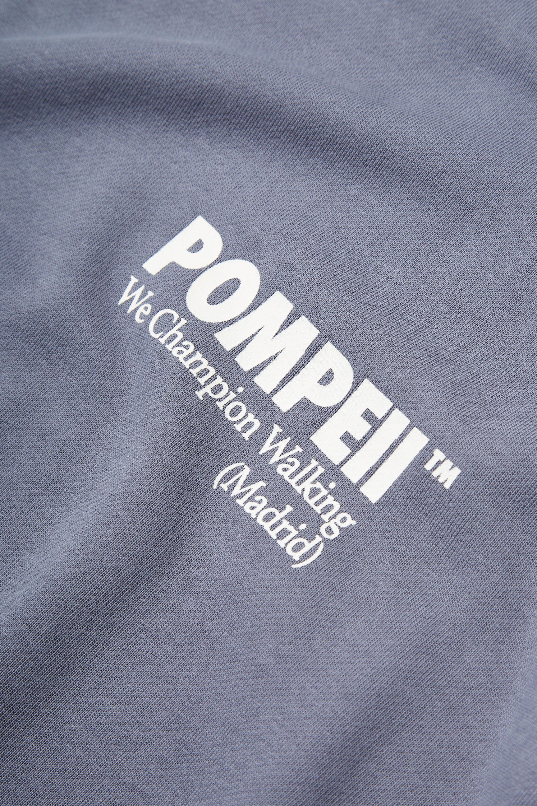 STEEL GREY LOGO CREWNECK SWEAT - Image 4
